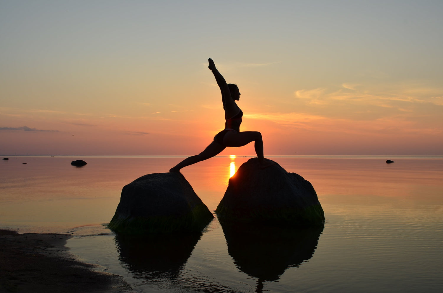Wellness Tools